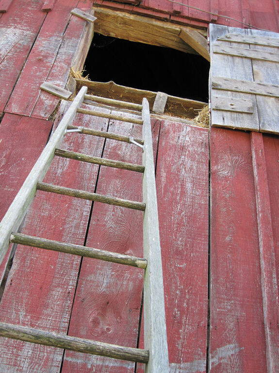 A Friend in Need: Events to Benefit the Oles Farm/Promised Land CSA